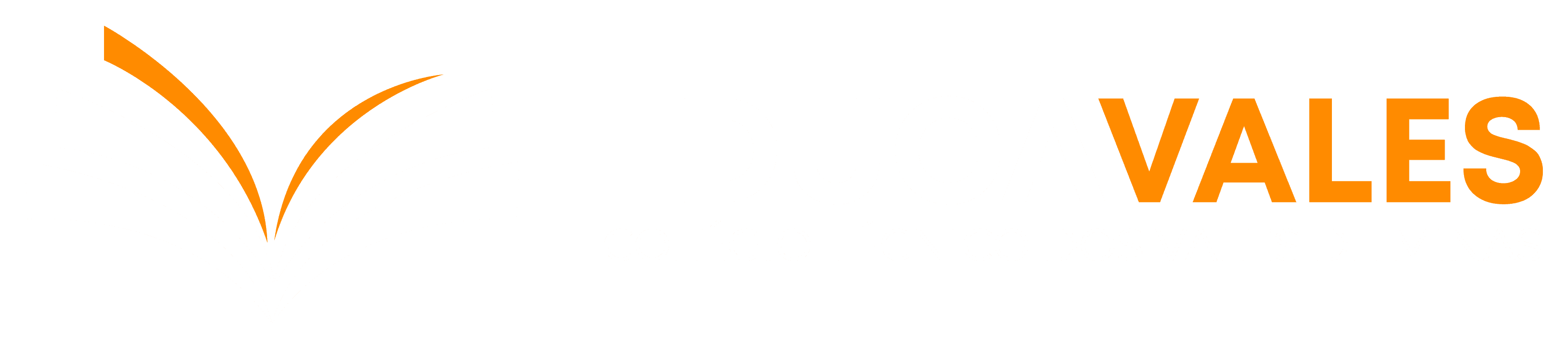 Empresa TEC 2